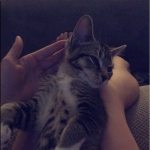 Meet your Posher, Madison